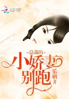 总裁的小娇妻高分小说封面