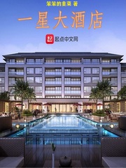 一星大酒店封面