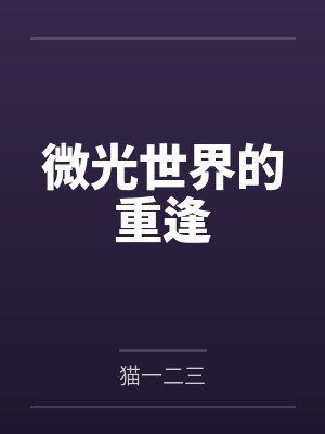 微光世界的重逢封面