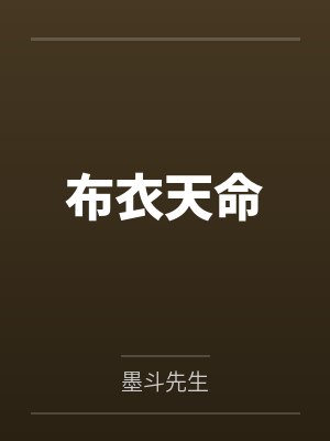 布衣天命封面